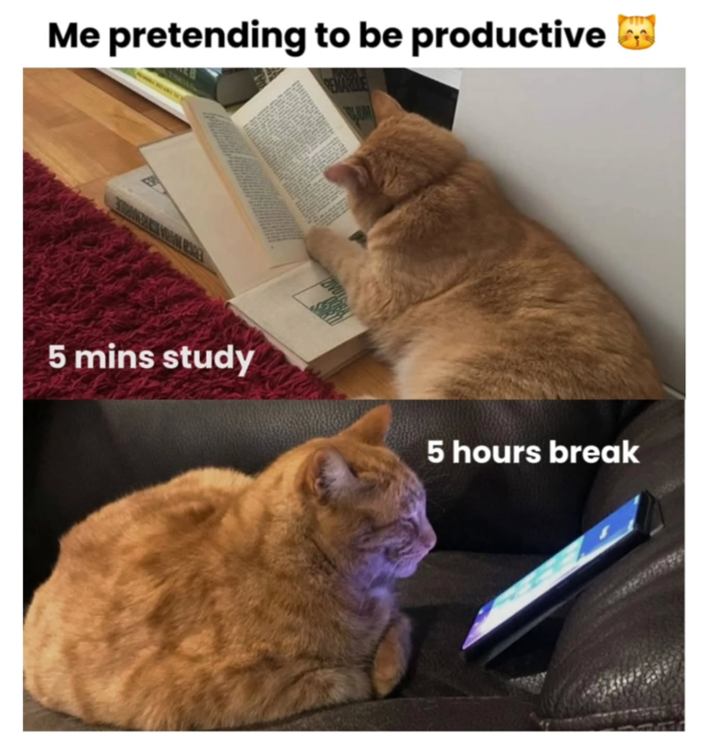 Me pretending to be productive REMARLE JUM ABC FROM HER 5 mins study 5 hours break