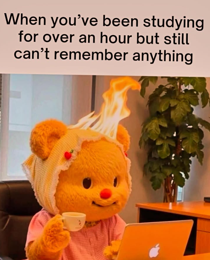 When you've been studying for over an hour but still can't remember anything