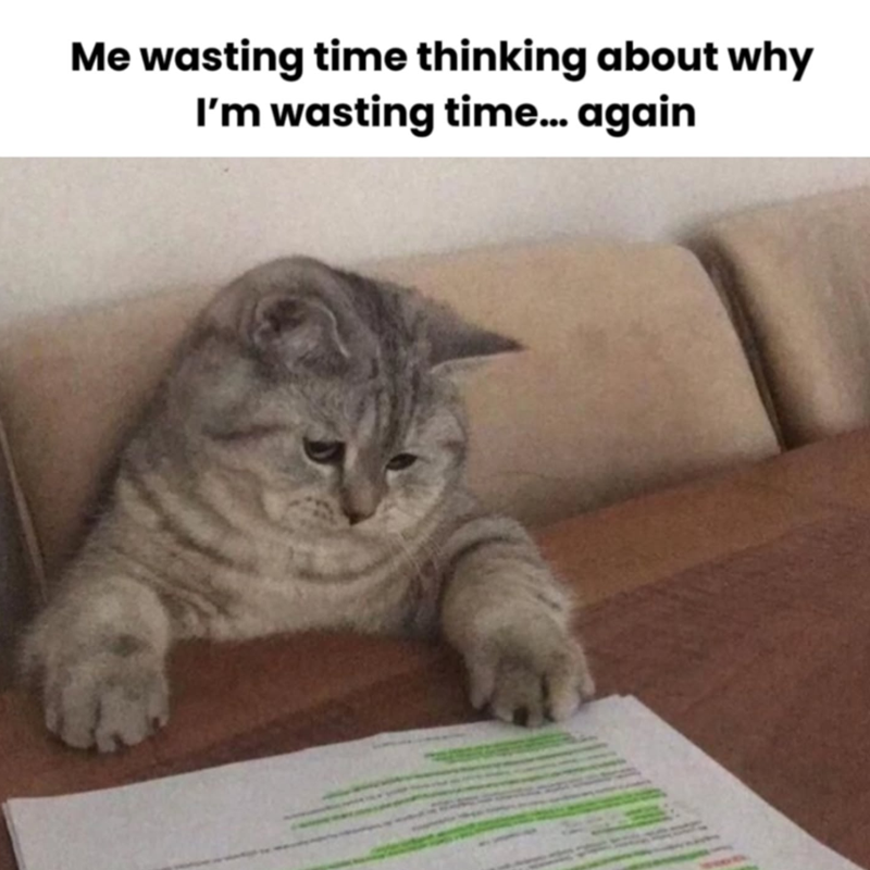 Me wasting time thinking about why I'm wasting time... again
