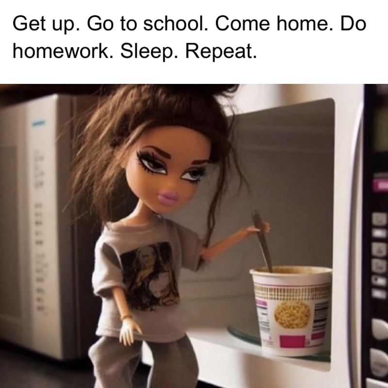 Get up. Go to school. Come home. Do homework. Sleep. Repeat. I DIDBEI