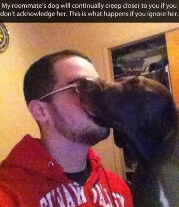 My roommate's dog will continually creep closer to you if you don't acknowledge her. This is what happens if you ignore her.