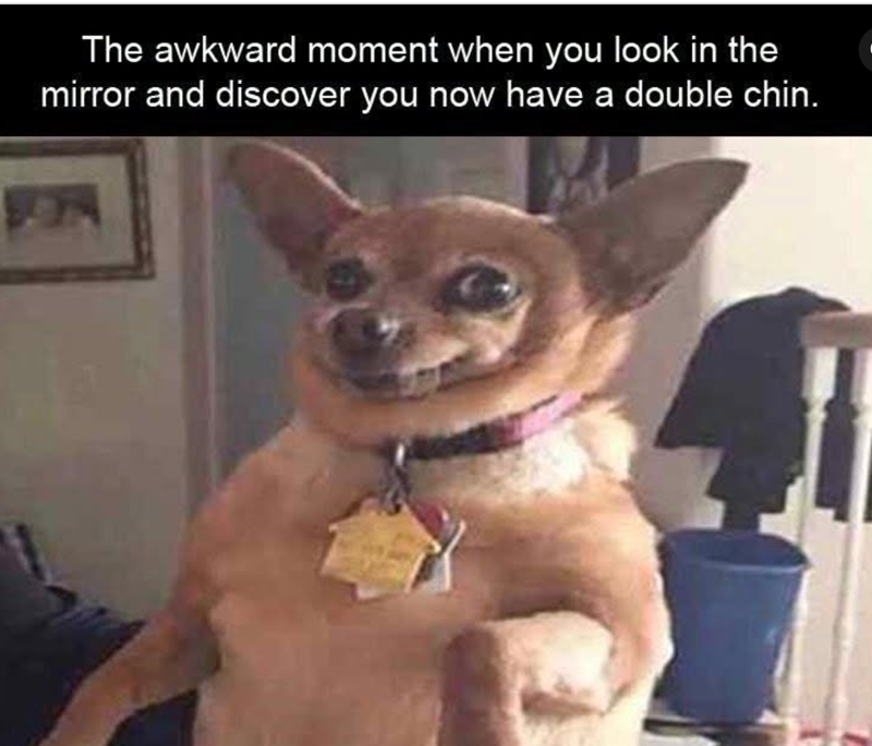 The awkward moment when you look in the mirror and discover you now have a double chin.