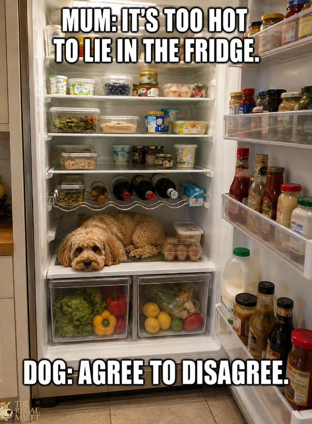 MUM: IT'S TOO HOT TO LIE IN THE FRIDGE. DOG: AGREE TO DISAGREE. THE REGAL MUTT