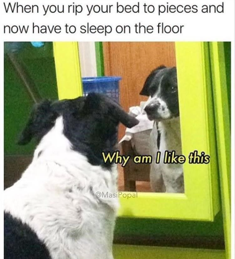 When you rip your bed to pieces and now have to sleep on the floor Why am I like this @MasiPopal