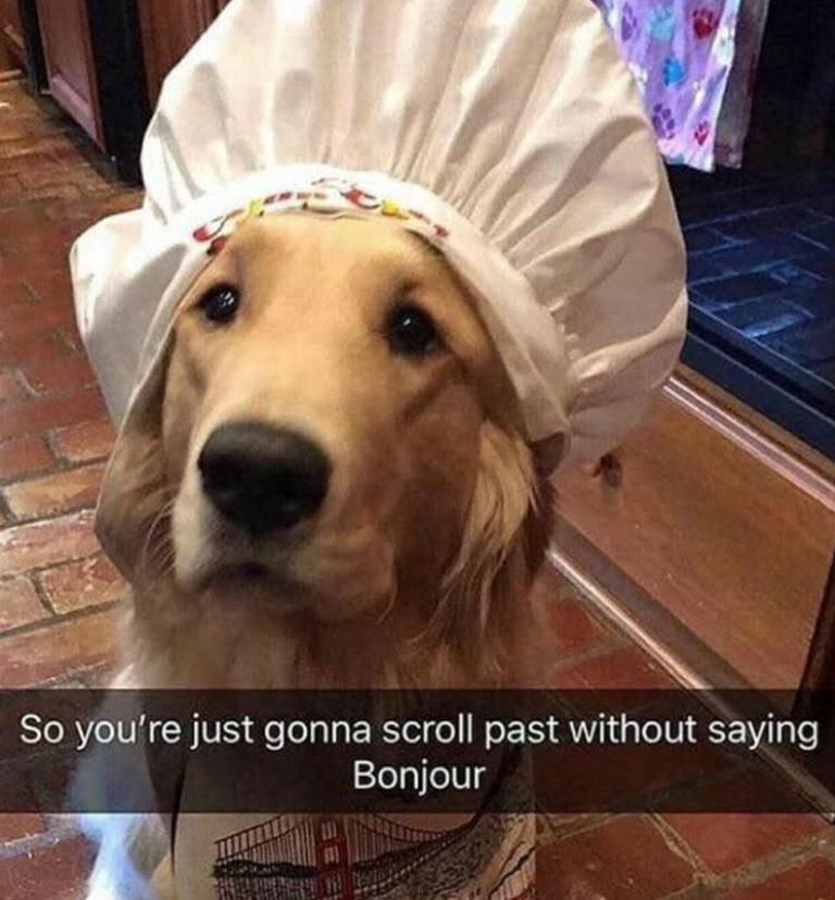 So you're just gonna scroll past without saying Bonjour