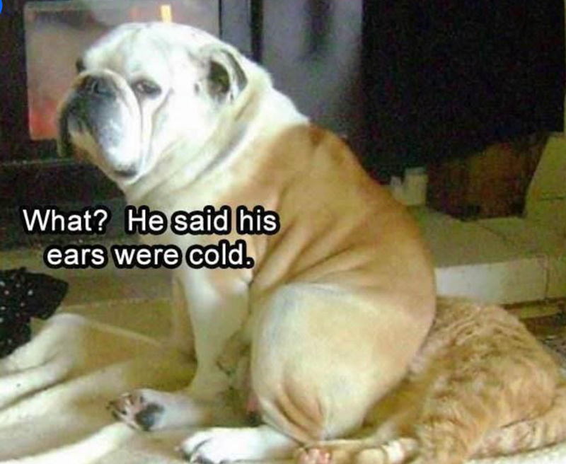 What? He said his ears were cold.