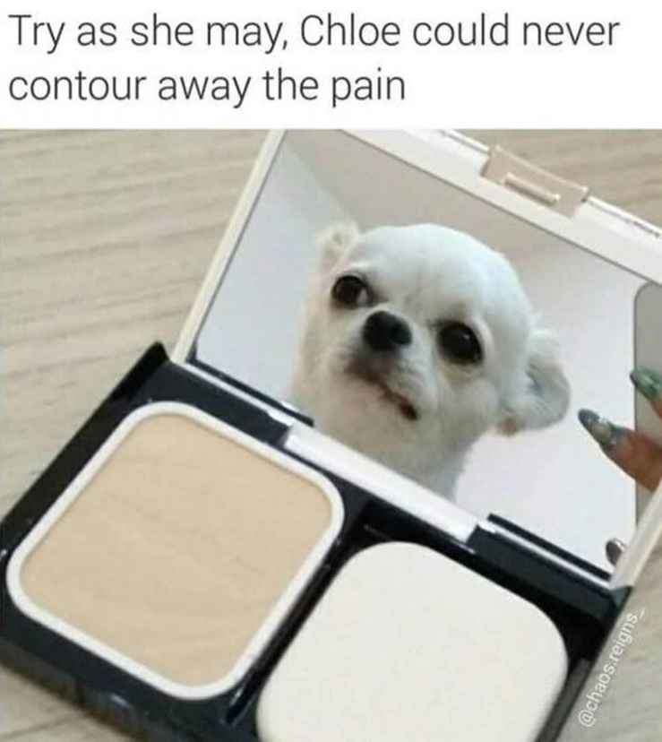 Try as she may, Chloe could never contour away the pain @chaos.reigns