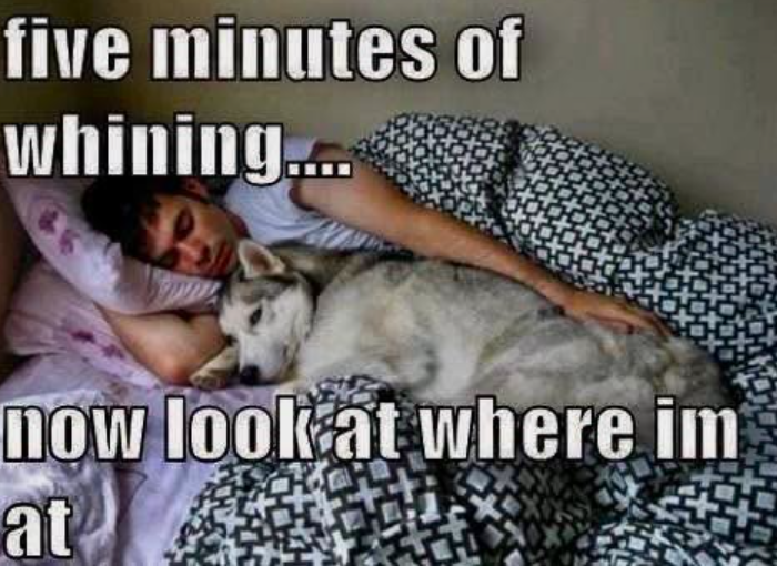 five minutes of whining.... now look at where im at