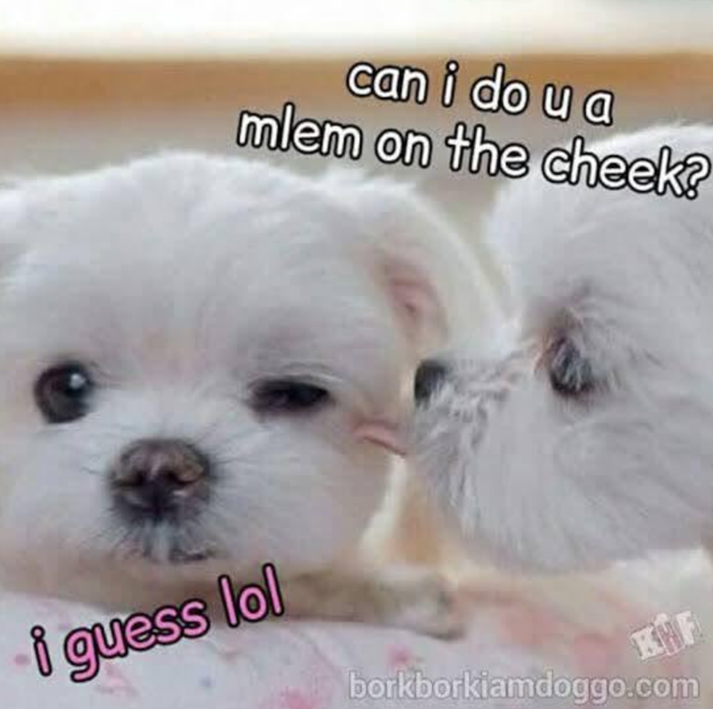 can i do u a mlem on the cheek? i guess lol KHF borkborkiamdoggo.com