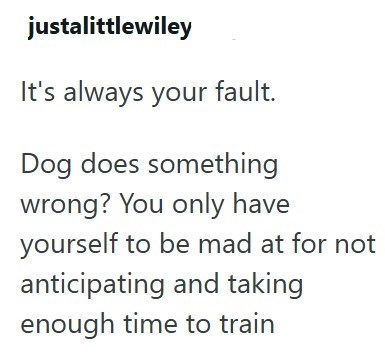 justalittlewiley It's always your fault. Dog does something wrong? You only have yourself to be mad at for not anticipating and taking enough time to train