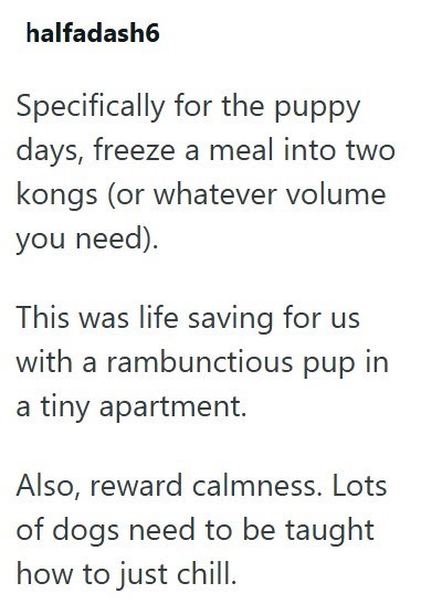halfadash6 Specifically for the puppy days, freeze a meal into two kongs (or whatever volume you need). This was life saving for us with a rambunctious pup in a tiny apartment. Also, reward calmness. Lots of dogs need to be taught how to just chill.