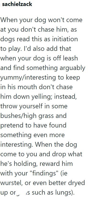 sachielzack When your dog won't come at you don't chase him, as dogs read this as initiation to play. I'd also add that when your dog is off leash and find something arguably yummy/interesting to keep in his mouth don't chase him down yelling; instead, throw yourself in some bushes/high grass and pretend to have found something even more interesting. When the dog come to you and drop what he's holding, reward him with your "findings" (ie wurstel, or even better dryed up or is such as lungs).
