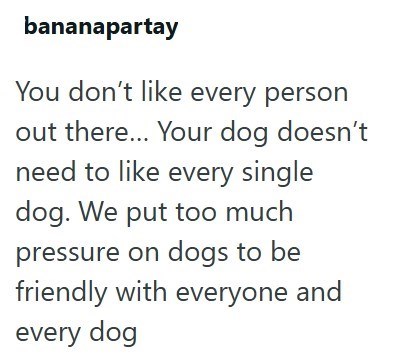bananapartay You don't like every person out there... Your dog doesn't need to like every single dog. We put too much pressure on dogs to be friendly with everyone and every dog