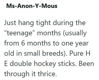 Ms-Anon-Y-Mous Just hang tight during the "teenage" months (usually from 6 months to one year old in small breeds). Pure H E double hockey sticks. Been through it thrice.