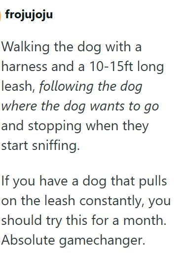 frojujoju Walking the dog with a harness and a 10-15ft long leash, following the dog where the dog wants to go and stopping when they start sniffing. If you have a dog that pulls on the leash constantly, you should try this for a month. Absolute gamechanger.