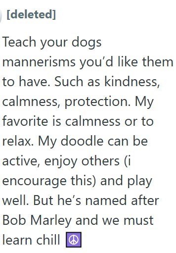 [deleted] Teach your dogs mannerisms you'd like them to have. Such as kindness, calmness, protection. My favorite is calmness or to relax. My doodle can be active, enjoy others (i encourage this) and play well. But he's named after Bob Marley and we must learn chill