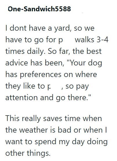 One-Sandwich5588 I dont have a yard, so we have to go for p walks 3-4 times daily. So far, the best advice has been, "Your dog has preferences on where they like to p, so pay attention and go there." This really saves time when the weather is bad or when I want to spend my day doing other things.