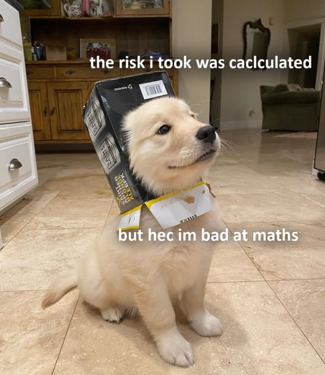 the risk i took was caclculated but hec im bad at maths