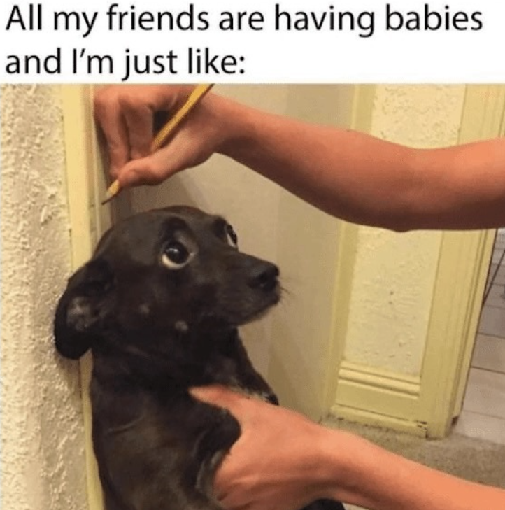 All my friends are having babies and I'm just like: