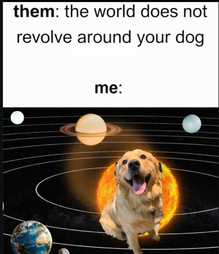 them: the world does not revolve around your dog me:
