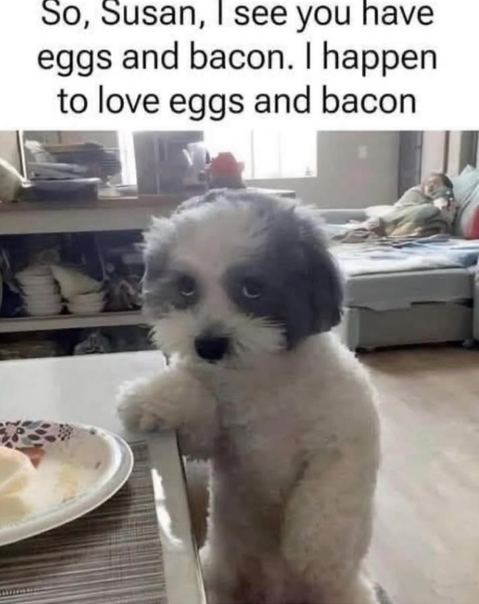 So, Susan, I see you have eggs and bacon. I happen to love eggs and bacon