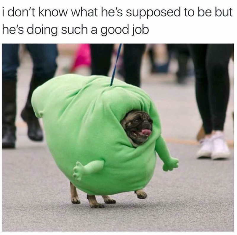i don't know what he's supposed to be but he's doing such a good job