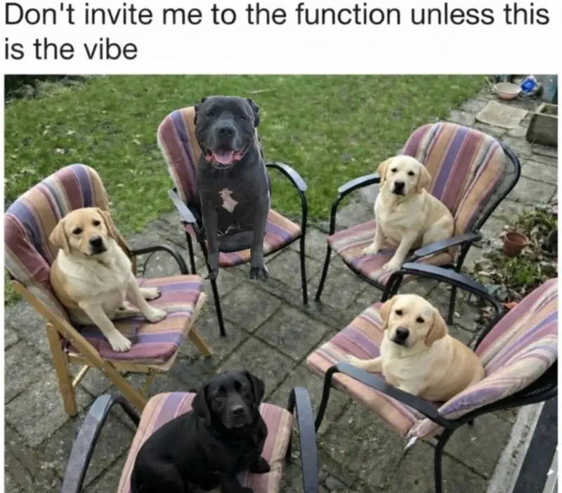 Don't invite me to the function unless this is the vibe