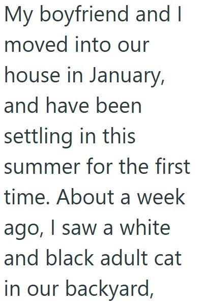 My boyfriend and I moved into our house in January, and have been settling in this summer for the first time. About a week ago, I saw a white and black adult cat in our backyard,