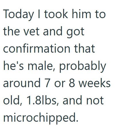 Today I took him to the vet and got confirmation that he's male, probably around 7 or 8 weeks old, 1.8lbs, and not microchipped.
