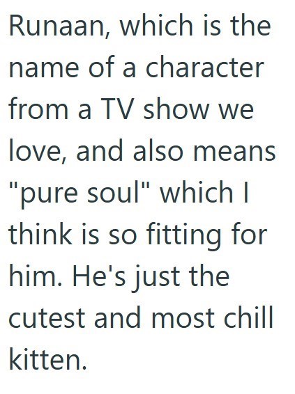 Runaan, which is the name of a character from a TV show we love, and also means "pure soul" which I think is so fitting for him. He's just the cutest and most chill kitten.