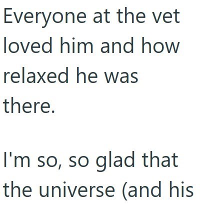 Everyone at the vet loved him and how relaxed he was there. I'm so, so glad that the universe (and his