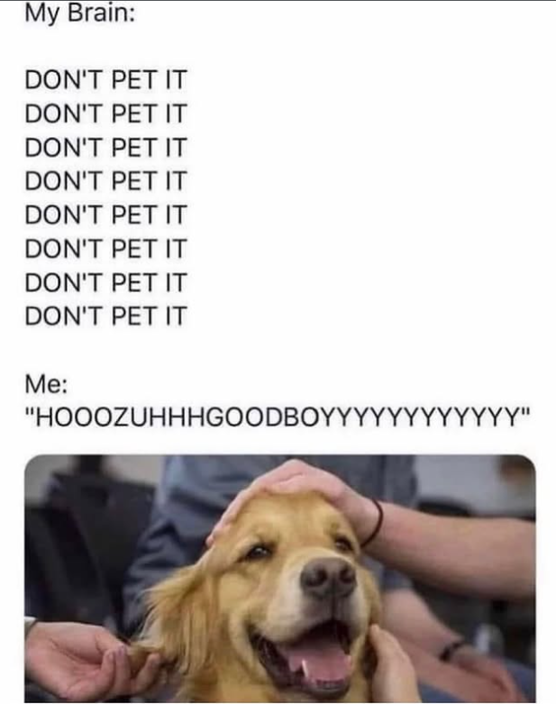 My Brain: DON'T PET IT DON'T PET IT DON'T PET IT DON'T PET IT DON'T PET IT DON'T PET IT DON'T PET IT DON'T PET IT Me: "HOOOZUHHHGOODBOYYYYYYYYYYYY"