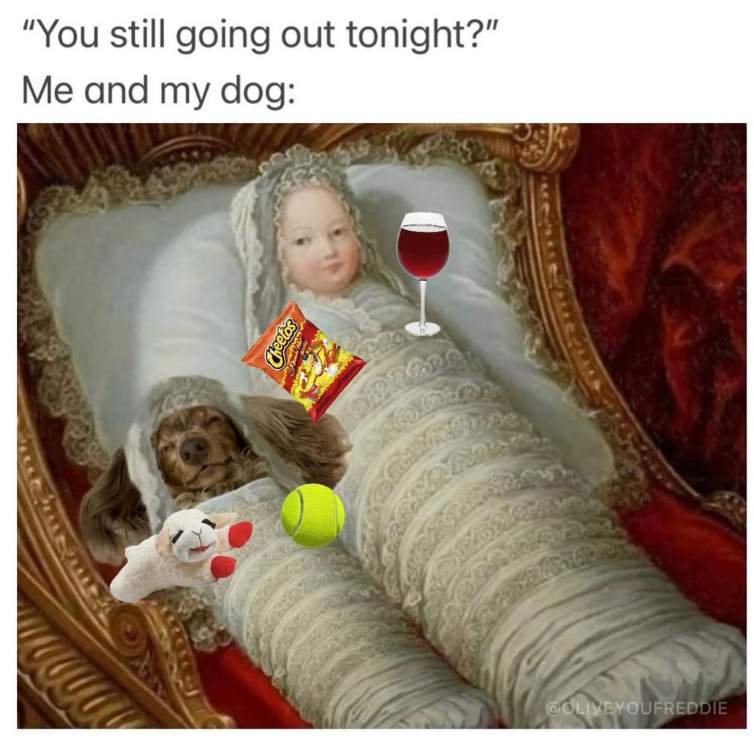 "You still going out tonight?" Me and my dog: Cheetos 22 @OLIVEYOUFREDDIE
