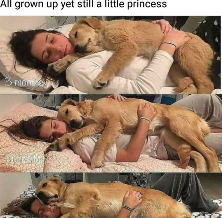 All grown up yet still a little princess 3 months