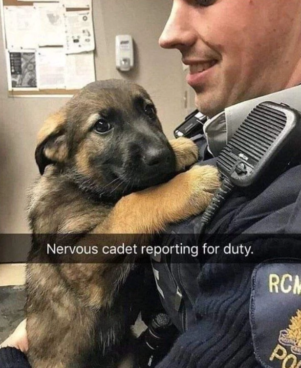 Nervous cadet reporting for duty. RCM PO