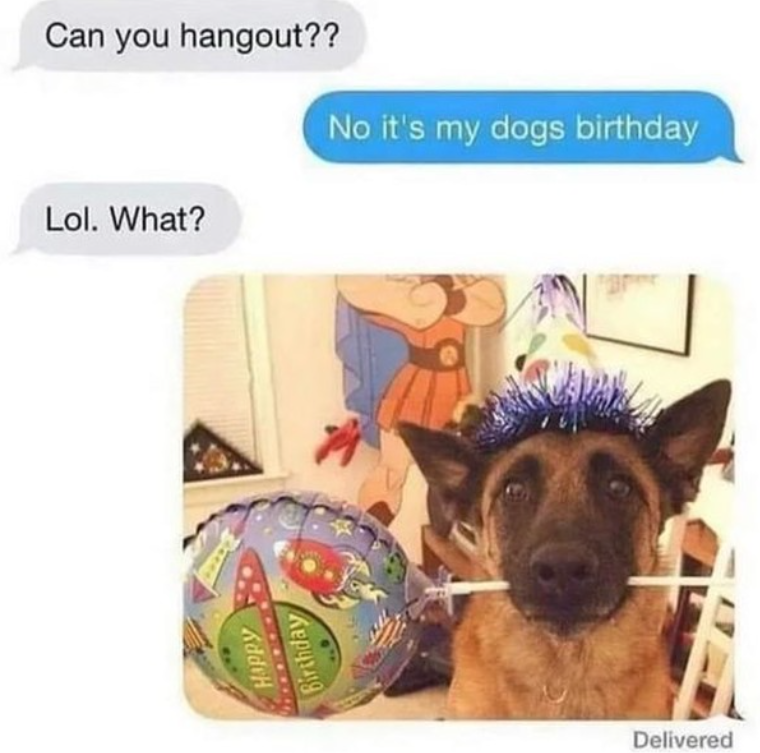 Can you hangout?? No it's my dogs birthday Lol. What? HAPPY Birthday Delivered