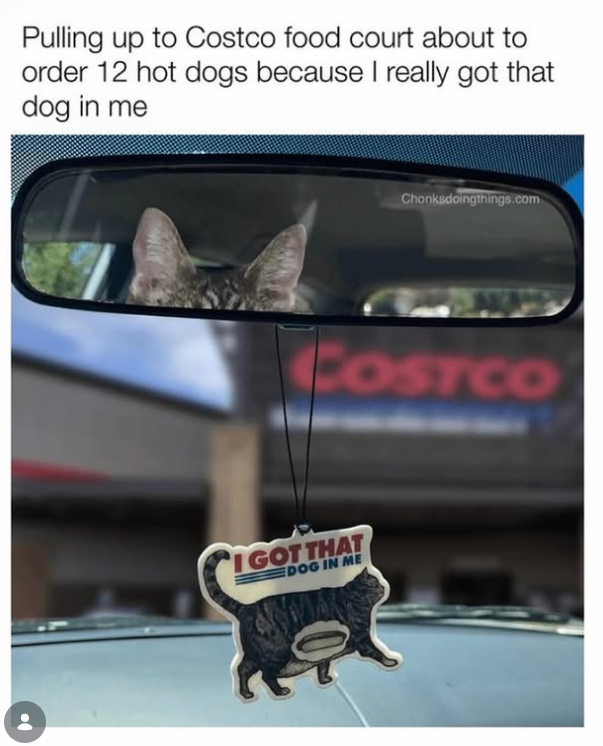 Pulling up to Costco food court about to order 12 hot dogs because I really got that dog in me Chonksdoingthings.com COSTCO I GOT THAT DOG IN ME