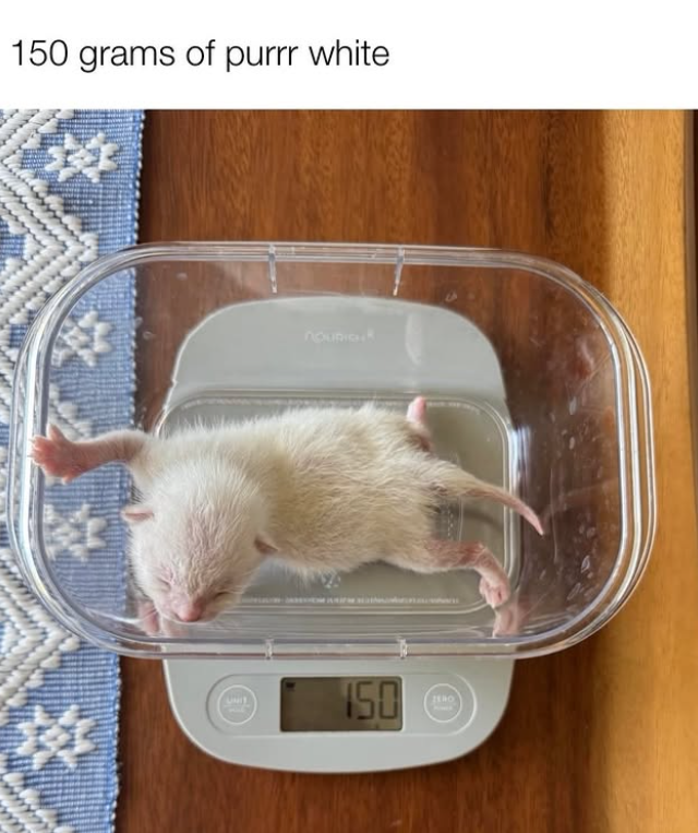 150 grams of purrr white nousiou UNIT 150 O