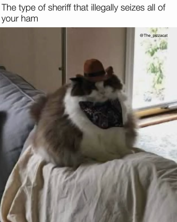 The type of sheriff that illegally seizes all of your ham @The_pizzacat