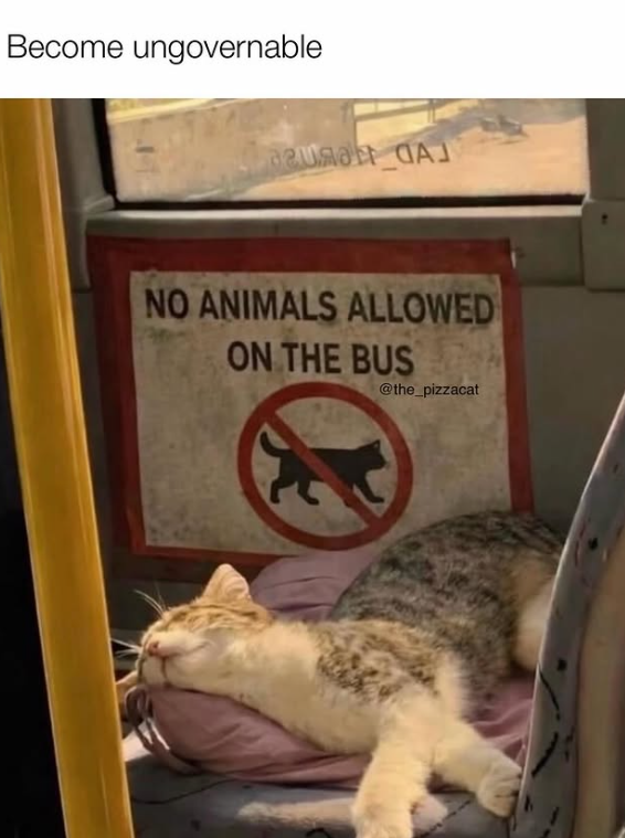Become ungovernable NO ANIMALS ALLOWED ON THE BUS @the_pizzacat