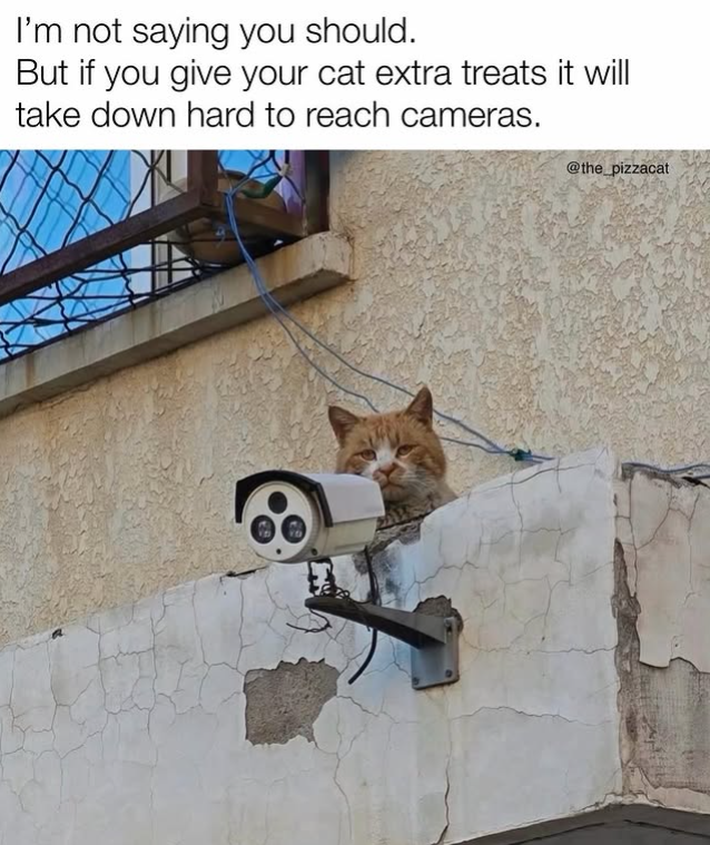 I'm not saying you should. But if you give your cat extra treats it will take down hard to reach cameras. @the_pizzacat