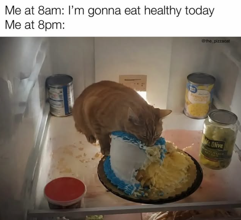 Me at 8am: I'm gonna eat healthy today Me at 8pm: @the_pizzacat Mt. Olive SPEAR