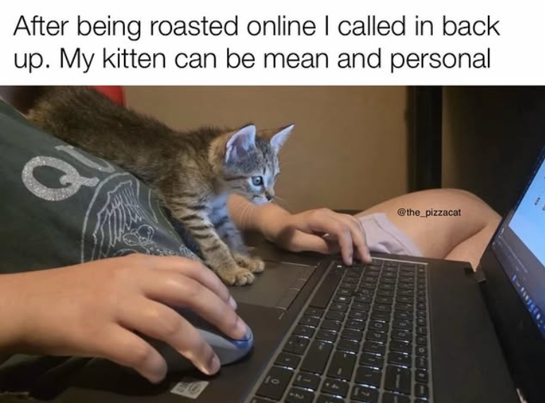 After being roasted online I called in back up. My kitten can be mean and personal Q O 10 2 @the_pizzacat