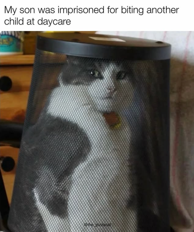 My son was imprisoned for biting another child at daycare @the pizzacat