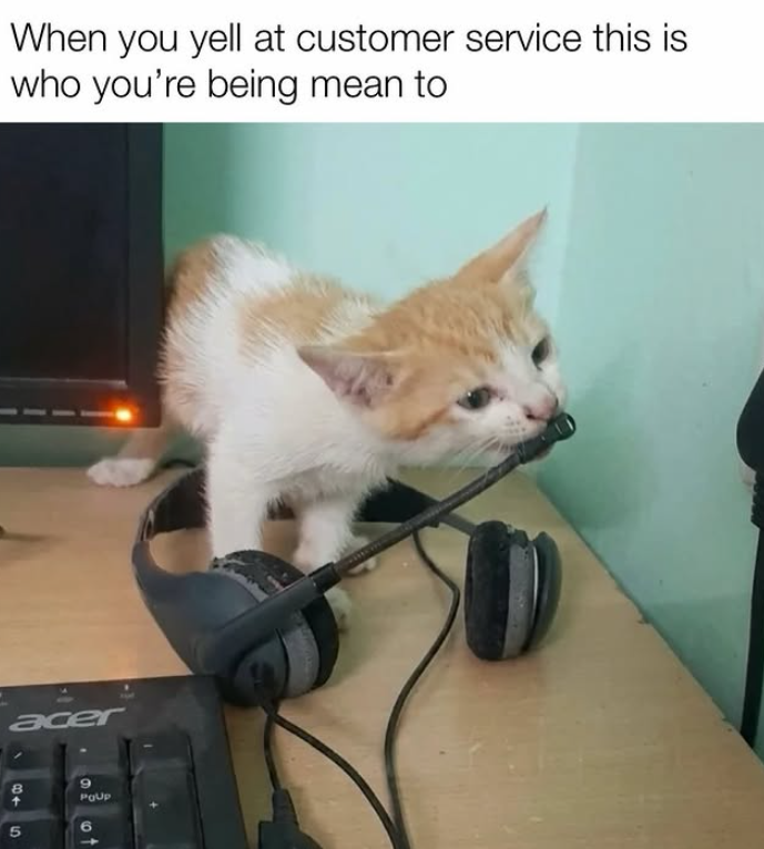 When you yell at customer service this is who you're being mean to acer 8+ 5 9 PQUp