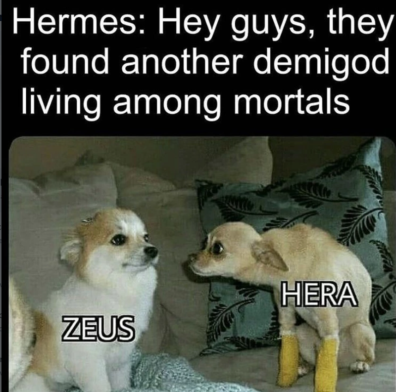 Hermes: Hey guys, they found another demigod living among mortals HERA ZEUS