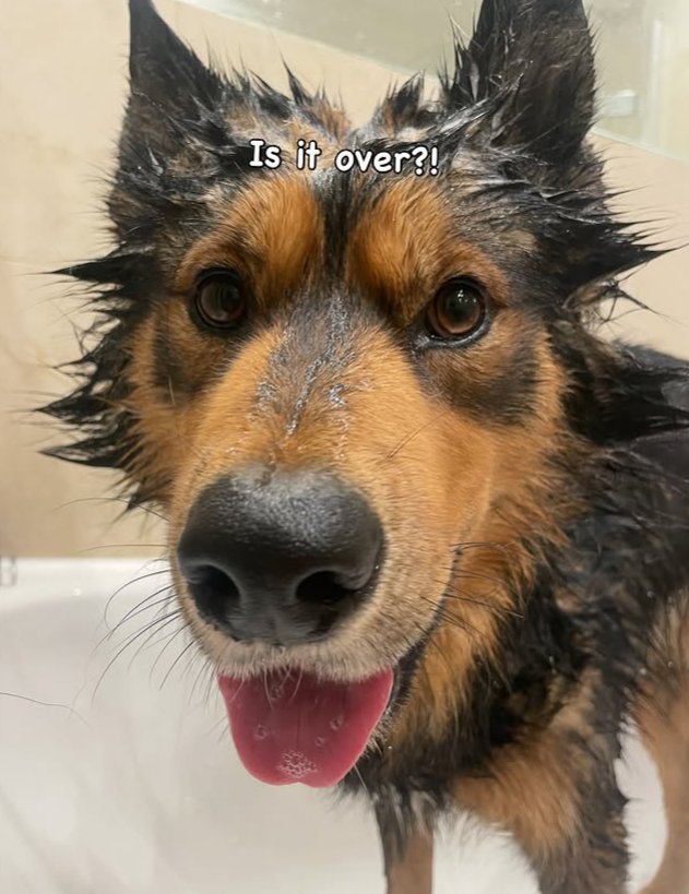 Is it over?!