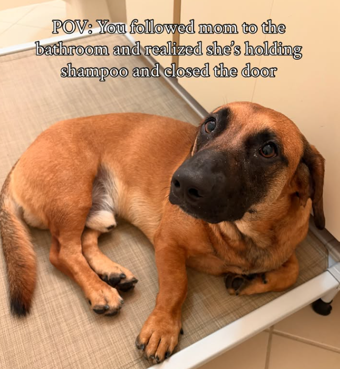 POV: You followed mom to the bathroom and realized she's holding shampoo and closed the door