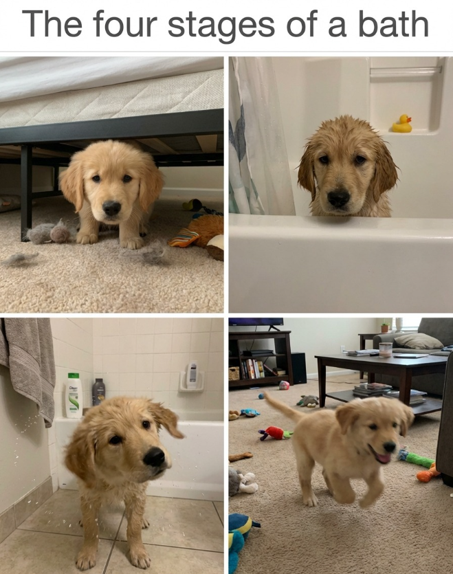 The four stages of a bath