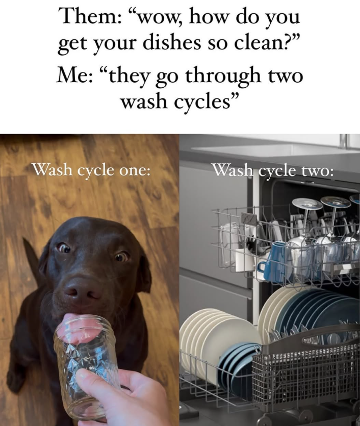 Them: "wow, how do you get your dishes so clean?" Me: "they go through two wash cycles" Wash cycle one: Wash cycle two: